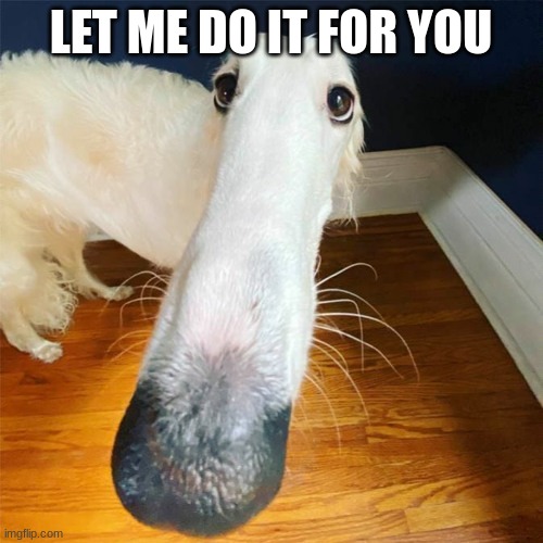 Let me do it for you... | LET ME DO IT FOR YOU | image tagged in let me do it for you | made w/ Imgflip meme maker