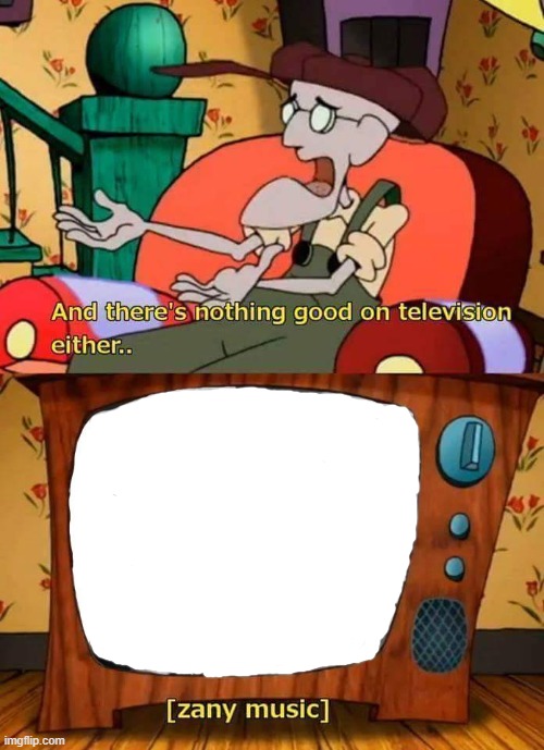 and there's nothing good in television either Blank Meme Template