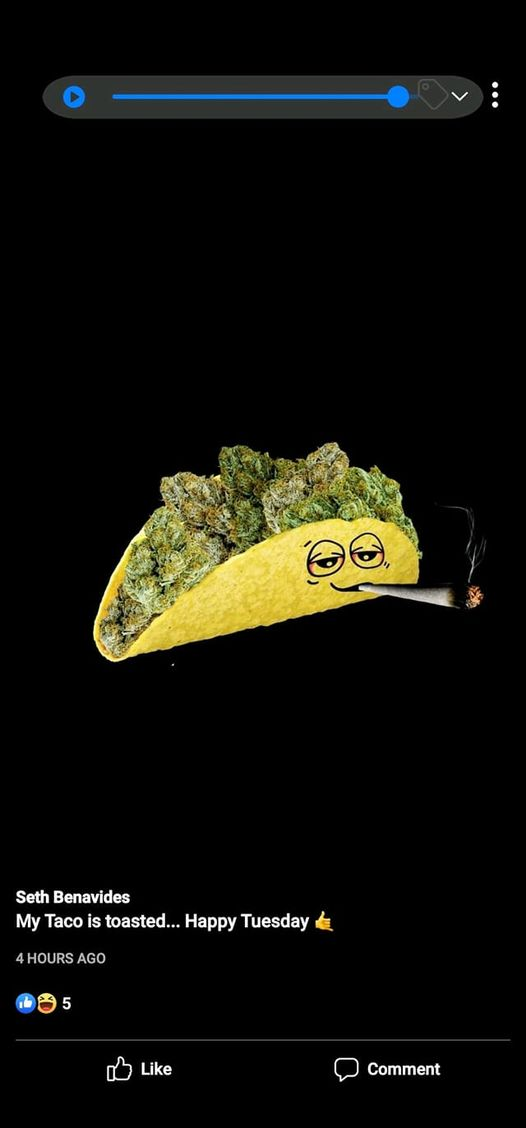 High Quality Taco High Blank Meme Template