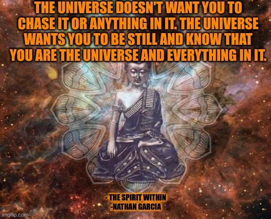 THE UNIVERSE DOESN'T WANT YOU TO CHASE IT OR ANYTHING IN IT. THE UNIVERSE WANTS YOU TO BE STILL AND KNOW THAT YOU ARE THE UNIVERSE AND EVERYTHING IN IT. - THE SPIRIT WITHIN
-NATHAN GARCIA | image tagged in spirituality | made w/ Imgflip meme maker