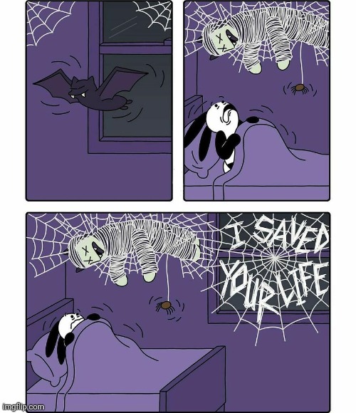 Web | image tagged in spiders,spider,web,spider web,comics,comics/cartoons | made w/ Imgflip meme maker