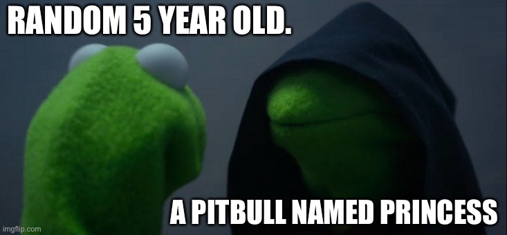 Evil Kermit | RANDOM 5 YEAR OLD. A PITBULL NAMED PRINCESS | image tagged in memes,evil kermit | made w/ Imgflip meme maker