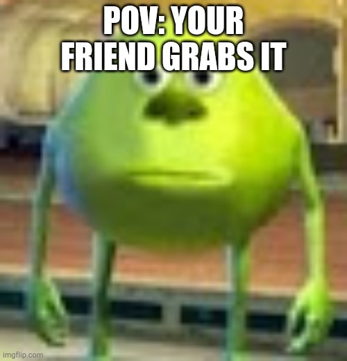 Sully Wazowski | POV: YOUR FRIEND GRABS IT | image tagged in sully wazowski | made w/ Imgflip meme maker
