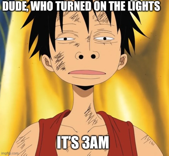 DUDE, WHO TURNED ON THE LIGHTS; IT’S 3AM | image tagged in one piece,anime meme,meme | made w/ Imgflip meme maker