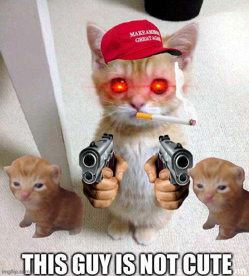 don't flirt with him | THIS GUY IS NOT CUTE | image tagged in memes,cute cat | made w/ Imgflip meme maker