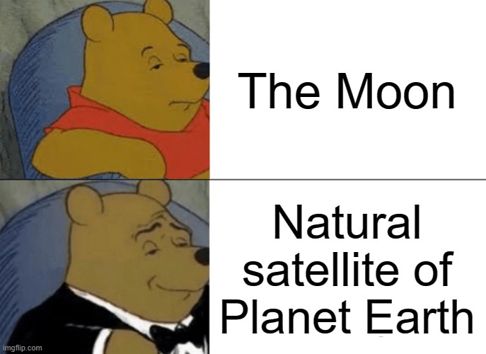 Tuxedo Winnie The Pooh | The Moon; Natural satellite of Planet Earth | image tagged in memes,tuxedo winnie the pooh,fun fact,you have been eternally cursed for reading the tags | made w/ Imgflip meme maker