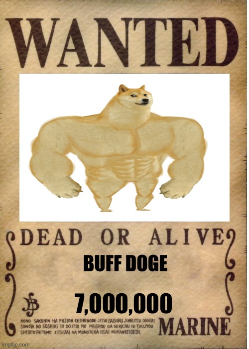 One piece wanted poster template | BUFF DOGE; 7,000,000 | image tagged in one piece wanted poster template,buff doge,meme | made w/ Imgflip meme maker