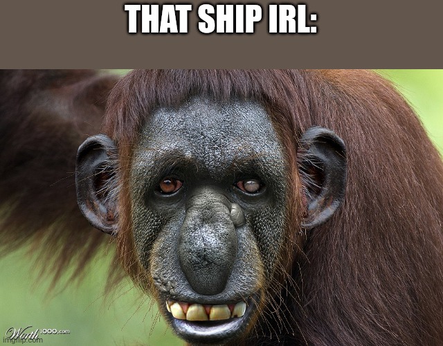 Ugly Monkey | THAT SHIP IRL: | image tagged in ugly monkey | made w/ Imgflip meme maker