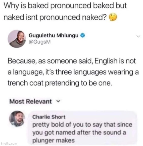Plonger noeis ? | image tagged in memes | made w/ Imgflip meme maker