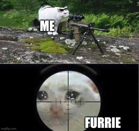 Sniper cat | ME; FURRIE | image tagged in sniper cat | made w/ Imgflip meme maker