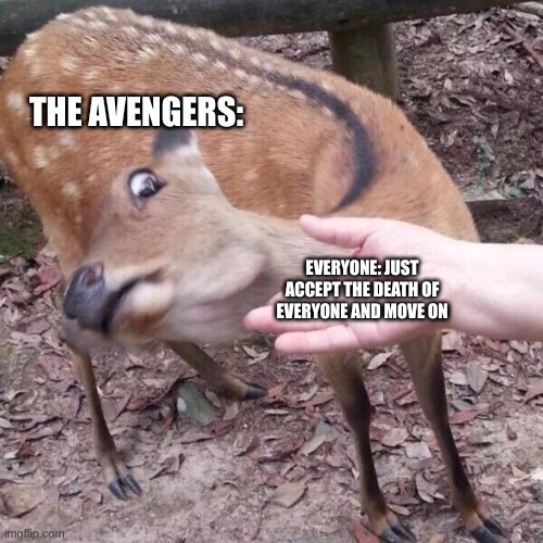 nope | EVERYONE: JUST ACCEPT THE DEATH OF EVERYONE AND MOVE ON THE AVENGERS: | image tagged in nope | made w/ Imgflip meme maker