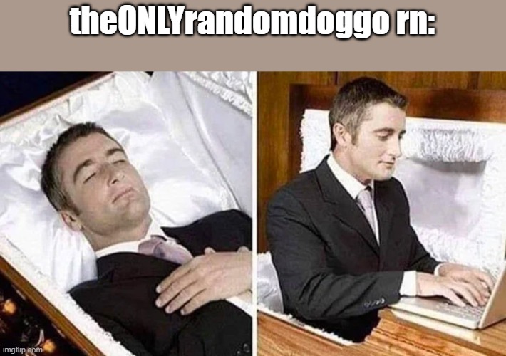 i thought he committed not feel well on himself | theONLYrandomdoggo rn: | image tagged in deceased man in coffin typing | made w/ Imgflip meme maker