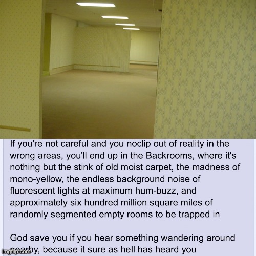 The Backrooms | image tagged in backrooms | made w/ Imgflip meme maker