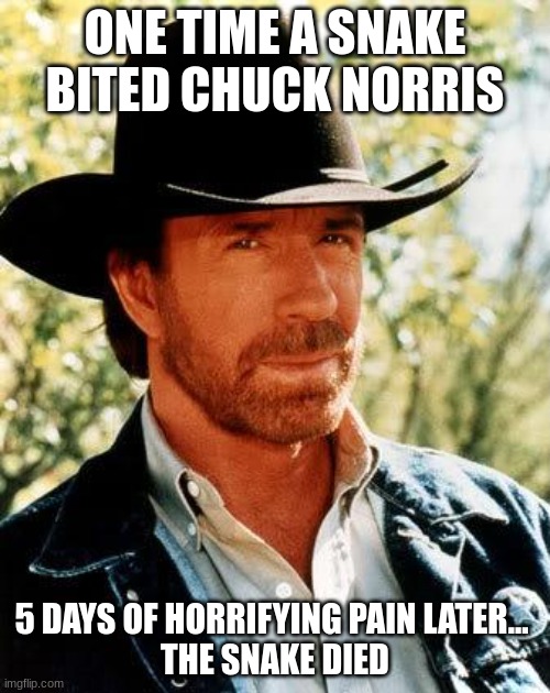 Chuck norris be like | ONE TIME A SNAKE BITED CHUCK NORRIS; 5 DAYS OF HORRIFYING PAIN LATER... 
THE SNAKE DIED | image tagged in memes,chuck norris | made w/ Imgflip meme maker