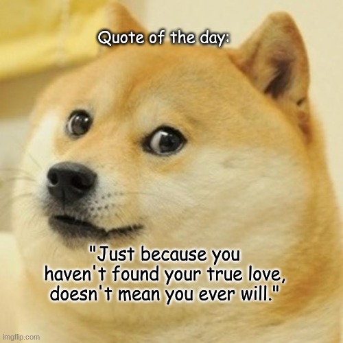 Ouch. | Quote of the day:; "Just because you haven't found your true love, doesn't mean you ever will." | image tagged in memes,doge,emotional damage | made w/ Imgflip meme maker