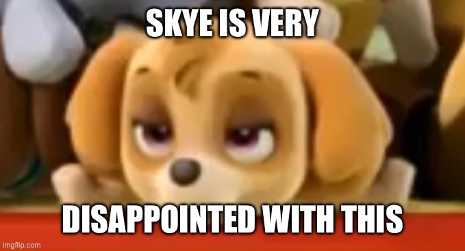 SKYE IS VERY DISAPPOINTED WITH THIS | made w/ Imgflip meme maker
