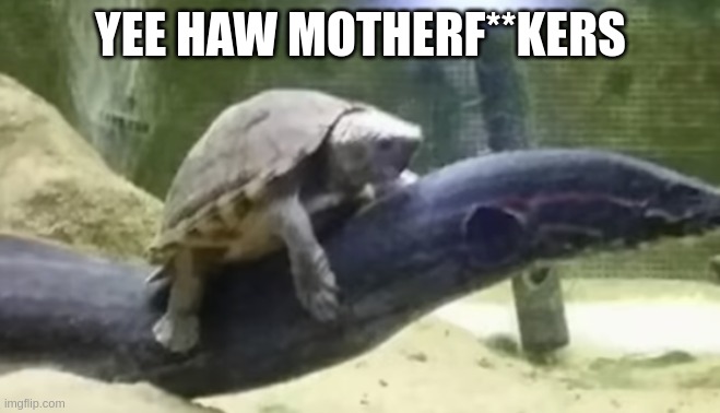 YEE HAW MOTHERF**KERS | made w/ Imgflip meme maker