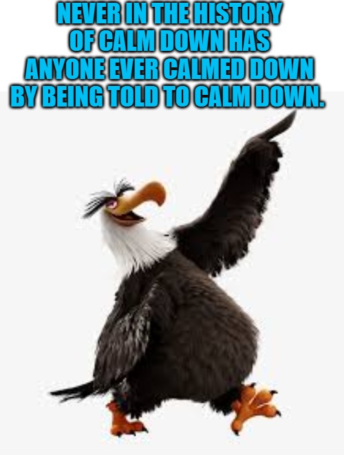 calm down | NEVER IN THE HISTORY OF CALM DOWN HAS ANYONE EVER CALMED DOWN BY BEING TOLD TO CALM DOWN. | image tagged in angry birds eagle,calm down | made w/ Imgflip meme maker
