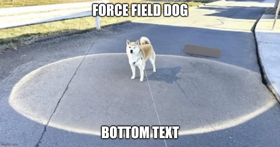 FORCE FIELD DOG; BOTTOM TEXT | made w/ Imgflip meme maker