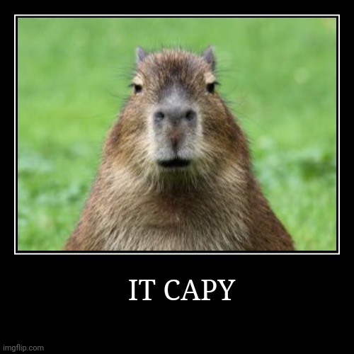 Capy | image tagged in funny,demotivationals,capybara | made w/ Imgflip demotivational maker