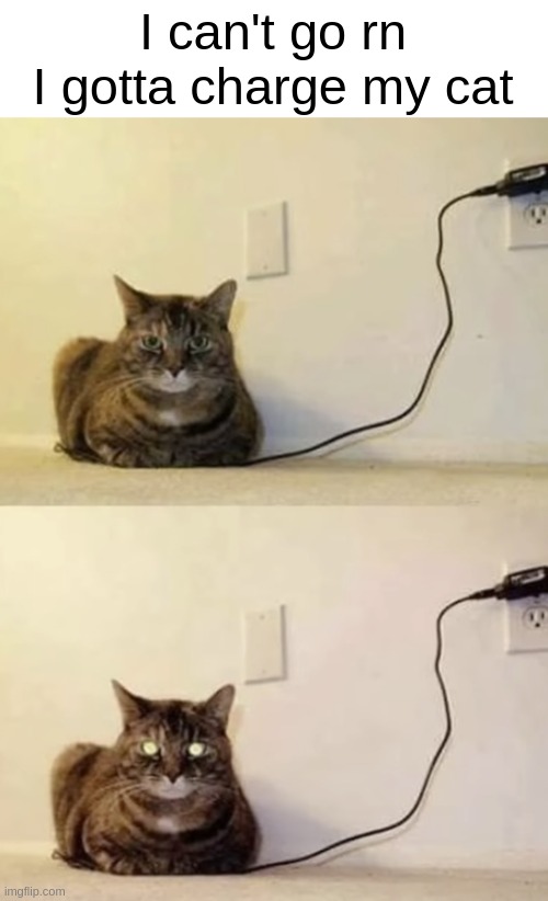 I can't go rn I gotta charge my cat | image tagged in cats | made w/ Imgflip meme maker
