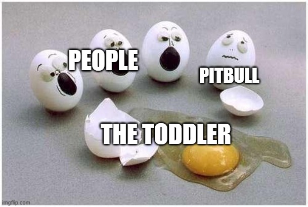 This Broken Egg | PEOPLE PITBULL THE TODDLER | image tagged in this broken egg | made w/ Imgflip meme maker
