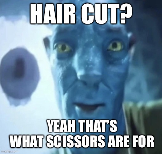 Staring Avatar 2 dude | HAIR CUT? YEAH THAT’S WHAT SCISSORS ARE FOR | image tagged in avatar 2 | made w/ Imgflip meme maker
