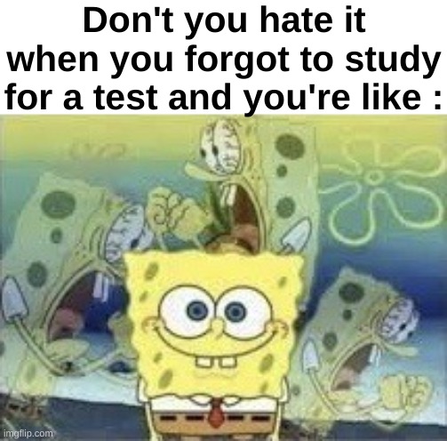 *internal screaming* | Don't you hate it when you forgot to study for a test and you're like : | image tagged in spongebob internal screaming,memes,funny,relatable,school,front page plz | made w/ Imgflip meme maker