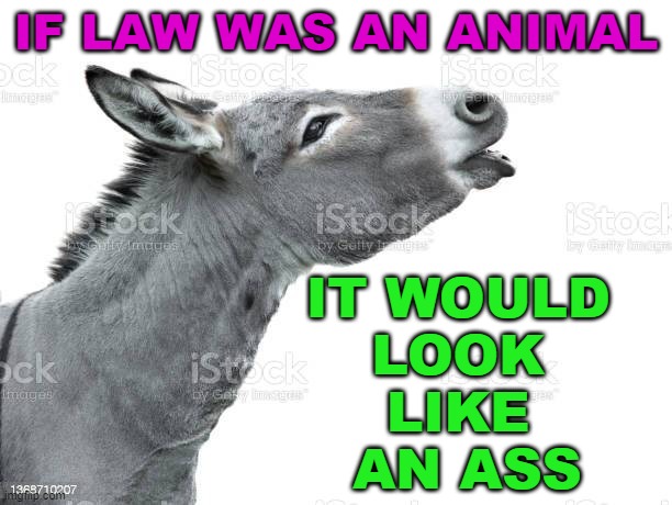 If LAW was an animal it would  look like AN ASS | IF LAW WAS AN ANIMAL; IT WOULD 
LOOK 
LIKE 
AN ASS | image tagged in 'the law is a ass' | made w/ Imgflip meme maker