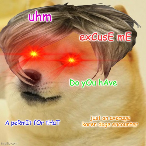 karen doge encounter | uhm; exCusE mE; Do yOu hAve; just an average karen doge encounter; A peRmIt fOr tHaT | image tagged in doge,karen | made w/ Imgflip meme maker
