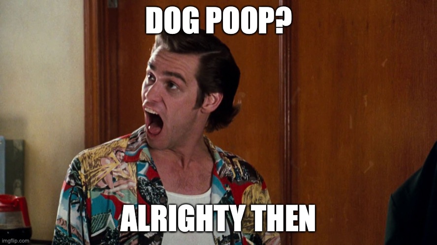 Ace Ventura Alrighty Then | DOG POOP? ALRIGHTY THEN | image tagged in ace ventura alrighty then | made w/ Imgflip meme maker