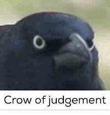 crow of judgement Blank Meme Template