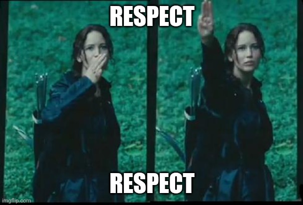Katniss Respect | RESPECT RESPECT | image tagged in katniss respect | made w/ Imgflip meme maker