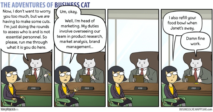 The Adventures of Business Cat #40 | made w/ Imgflip meme maker