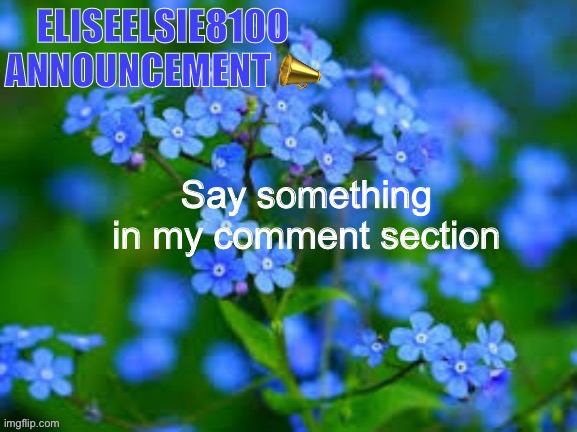 EliseElsie8100 Announcement | Say something in my comment section | image tagged in eliseelsie8100 announcement | made w/ Imgflip meme maker