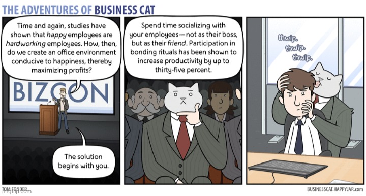 The Adventures of Business Cat #36 - Following Advice | made w/ Imgflip meme maker