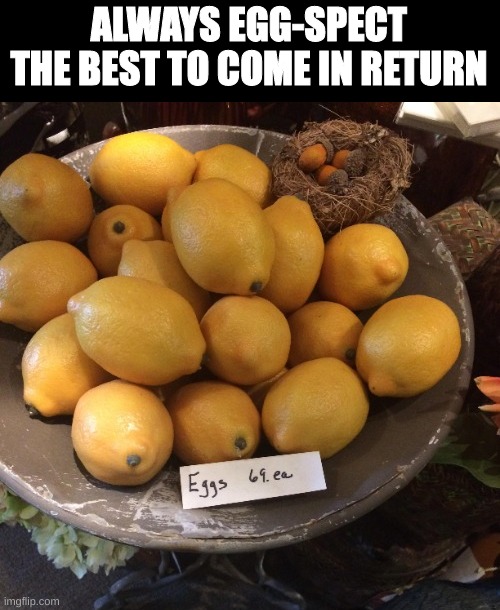 When life gives you lemons | ALWAYS EGG-SPECT THE BEST TO COME IN RETURN | image tagged in memes,funny,fuuny,eyeroll | made w/ Imgflip meme maker