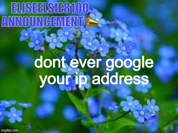 EliseElsie8100 Announcement | dont ever google your ip address | image tagged in eliseelsie8100 announcement | made w/ Imgflip meme maker