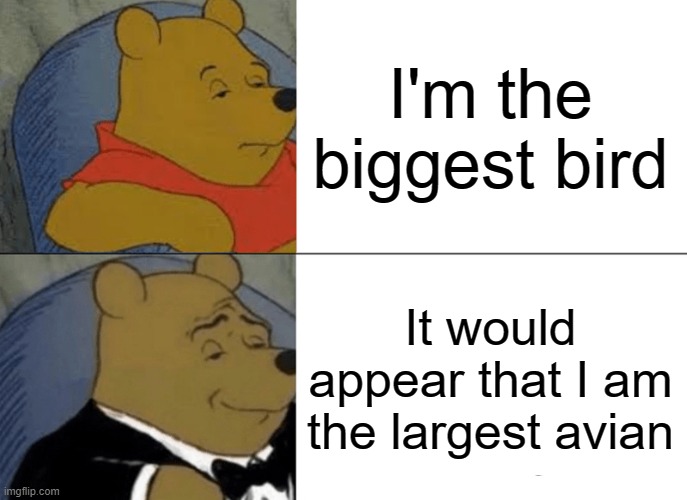 Tuxedo Winnie The Pooh | I'm the biggest bird; It would appear that I am the largest avian | image tagged in memes,tuxedo winnie the pooh | made w/ Imgflip meme maker