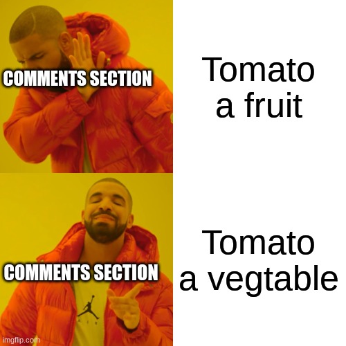 Drake Hotline Bling Meme | Tomato a fruit Tomato a vegtable COMMENTS SECTION COMMENTS SECTION | image tagged in memes,drake hotline bling | made w/ Imgflip meme maker
