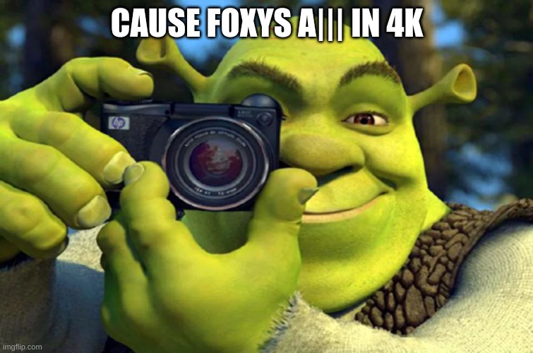 Shrek Caught in 4K | CAUSE FOXYS A||| IN 4K | image tagged in shrek caught in 4k | made w/ Imgflip meme maker