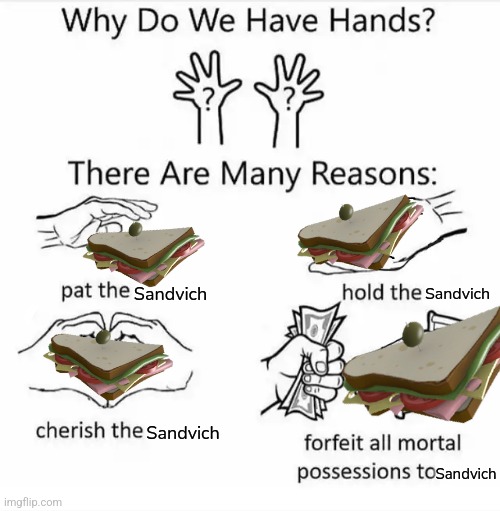 Sandvich :) | Sandvich; Sandvich; Sandvich; Sandvich | image tagged in why do we have hands,sandwich,tf2 | made w/ Imgflip meme maker