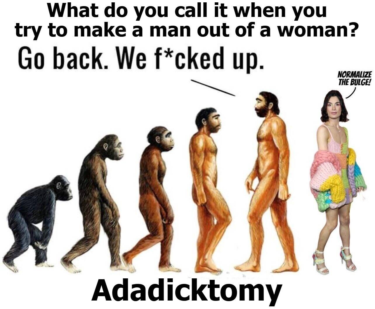 What do you call it when you try to make a man out of a woman? | image tagged in add a dick to me,adadicktomy,tired of hearing about transgenders,sodom and gomorrah,perverts,boys have a penis | made w/ Imgflip meme maker