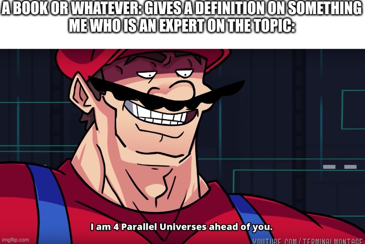 Mario I am four parallel universes ahead of you | A BOOK OR WHATEVER: GIVES A DEFINITION ON SOMETHING
ME WHO IS AN EXPERT ON THE TOPIC: | image tagged in mario i am four parallel universes ahead of you,memes,lol | made w/ Imgflip meme maker