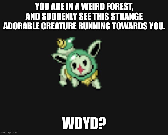 YOU ARE IN A WEIRD FOREST, AND SUDDENLY SEE THIS STRANGE ADORABLE CREATURE RUNNING TOWARDS YOU. WDYD? | made w/ Imgflip meme maker