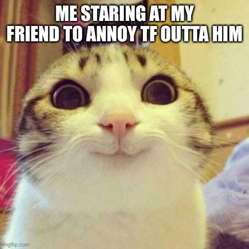 Me in a boring class | ME STARING AT MY FRIEND TO ANNOY TF OUTTA HIM | image tagged in memes,smiling cat | made w/ Imgflip meme maker