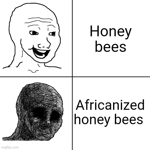 Africanized honey bees be like | Honey bees; Africanized honey bees | image tagged in happy wojak vs depressed wojak,jpfan102504 | made w/ Imgflip meme maker