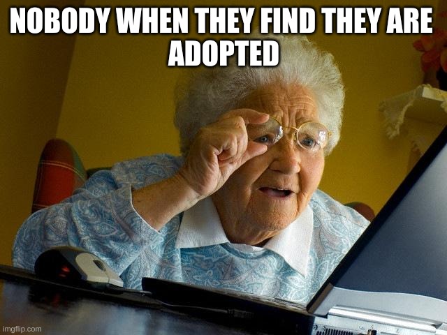Grandma Finds The Internet | NOBODY WHEN THEY FIND THEY ARE 
ADOPTED | image tagged in memes,grandma finds the internet | made w/ Imgflip meme maker