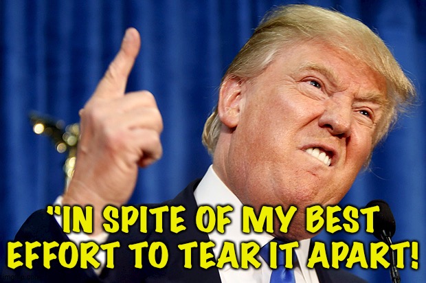 Donald Trump | "IN SPITE OF MY BEST EFFORT TO TEAR IT APART! | image tagged in donald trump | made w/ Imgflip meme maker