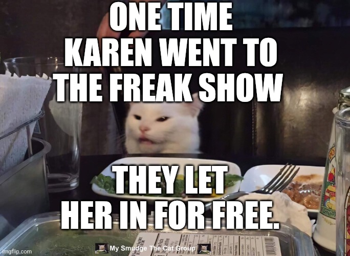 ONE TIME KAREN WENT TO THE FREAK SHOW; THEY LET HER IN FOR FREE. | image tagged in smudge the cat | made w/ Imgflip meme maker